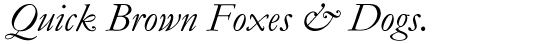 Monotype Garamond Pro Italic