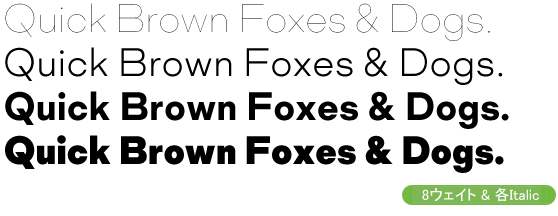 Mid Century Sans Family Package