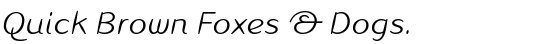 Linotype Inagur™ Light Italic