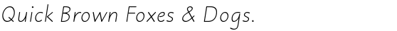 Julius Primary™  Light Italic
