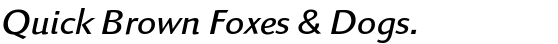 Linex Sans®  Light Italic