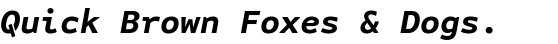 FF Attribute™ Mono Bold Italic