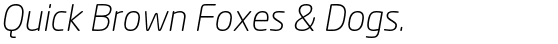 Neo®  Sans Cyrillic Light Italic