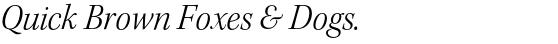 Kepler™ Std Light Italic Subhead