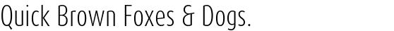 FF Dax® Compact Std Light