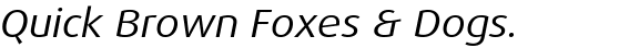 FF Dax® Std Wide Regular Italic
