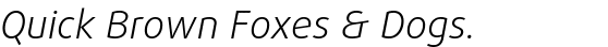 FF Daxline® Std Light Italic