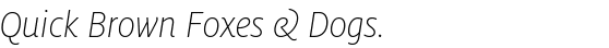 FF Milo® Std Extra Light Italic