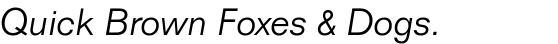 Folio® Std Light Italic