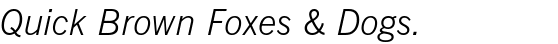 News Gothic™ BT Std Light Italic