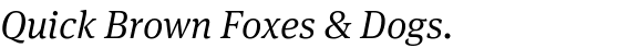 FF Meta® Serif Std Light Italic