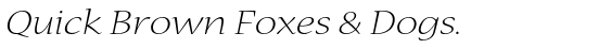 Nueva™ Std Light Extended Italic