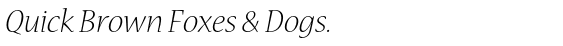 Nueva™ Std Light Italic