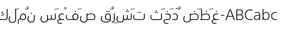 SST® Arabic Light