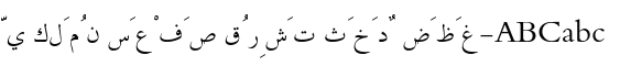 Traditional Arabic Regular