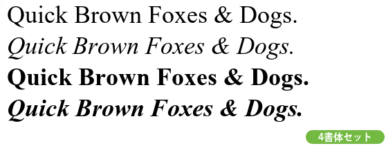 Times New Roman PS Complete Family Pack