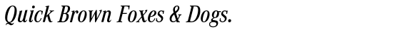 Corporate A WGL™ Medium Condensed Italic