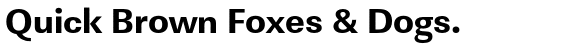 Linear Extra Bold