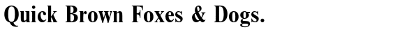 Nimbus Roman No. 9 Bold Condensed