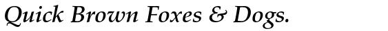 Palladio Medium Italic