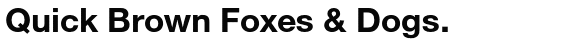 Nimbus Sans Novus Bold