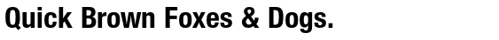 Nimbus Sans Novus Bold Condensed