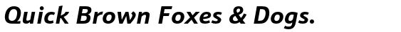 Schnebel Sans™ Pro Bold Italic