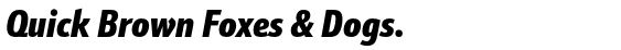 Schnebel Sans™ Pro Compressed Black Italic