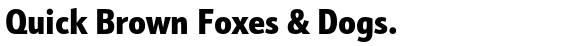 Schnebel Sans™ Pro Condensed Black
