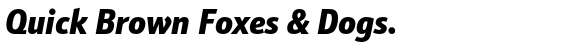 Schnebel Sans™ Pro Condensed Black Italic