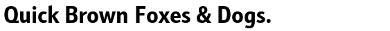Schnebel Sans™ Pro Condensed Bold