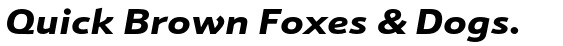 Schnebel Sans™ Pro Extended Black Italic