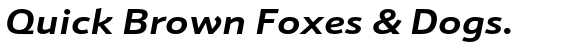 Schnebel Sans™ Pro Extended Bold Italic