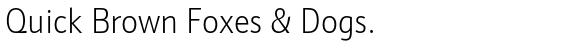 Schnebel Sans ME Condensed Thin