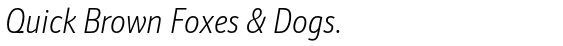 Schnebel Sans ME Compressed Thin Italic