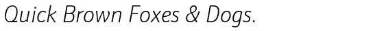 Schnebel Sans ME Condensed Thin Italic