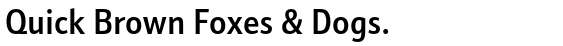 Schnebel Sans ME Condensed Medium