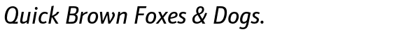 Schnebel Sans ME Condensed Italic