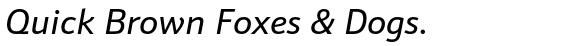 Schnebel Sans ME Regular Italic