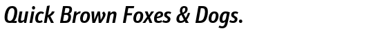 Schnebel Sans ME Compressed Medium Italic