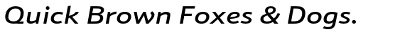 Schnebel Sans ME Extended Medium Italic