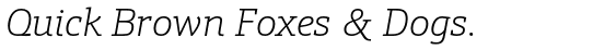 Schnebel Slab Pro Thin Italic