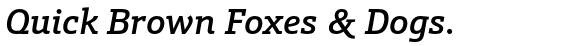 Schnebel Slab Pro Medium Italic