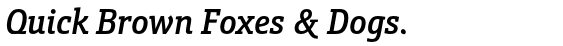 Schnebel Slab Pro Condensed Medium Italic