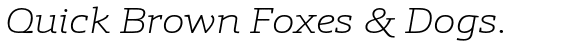 Schnebel Slab Pro Expanded Thin Italic