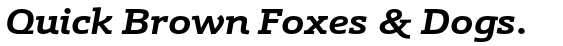 Schnebel Slab Pro Expanded Bold Italic