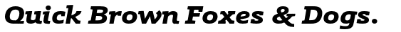 Schnebel Slab Pro Expanded Black Italic