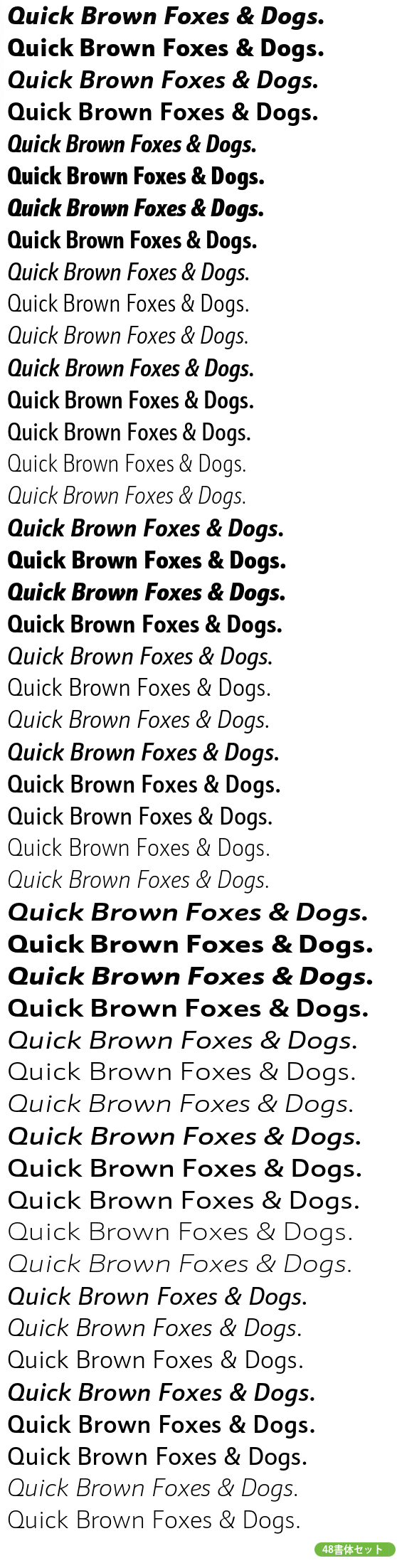 Schnebel Sans Pro  Complete Family Pack