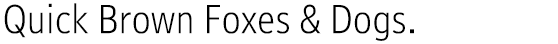 みんなの文字Sans L Condensed (MinMojiSansCn-L)