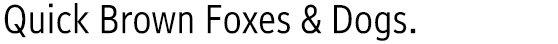 みんなの文字Sans R2 Condensed (MinMojiSansCn-R2)